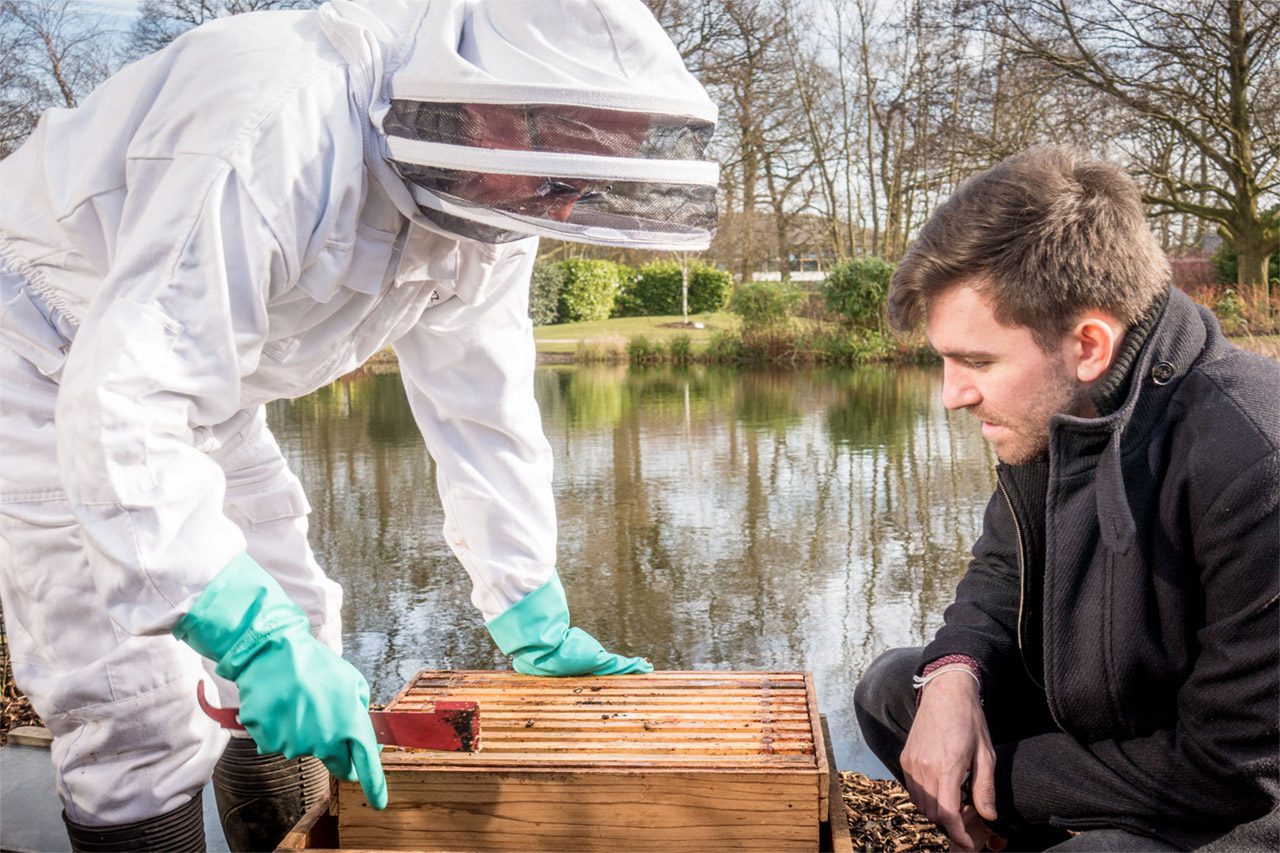 Beekeeper opening hive at Birmingham Business Park