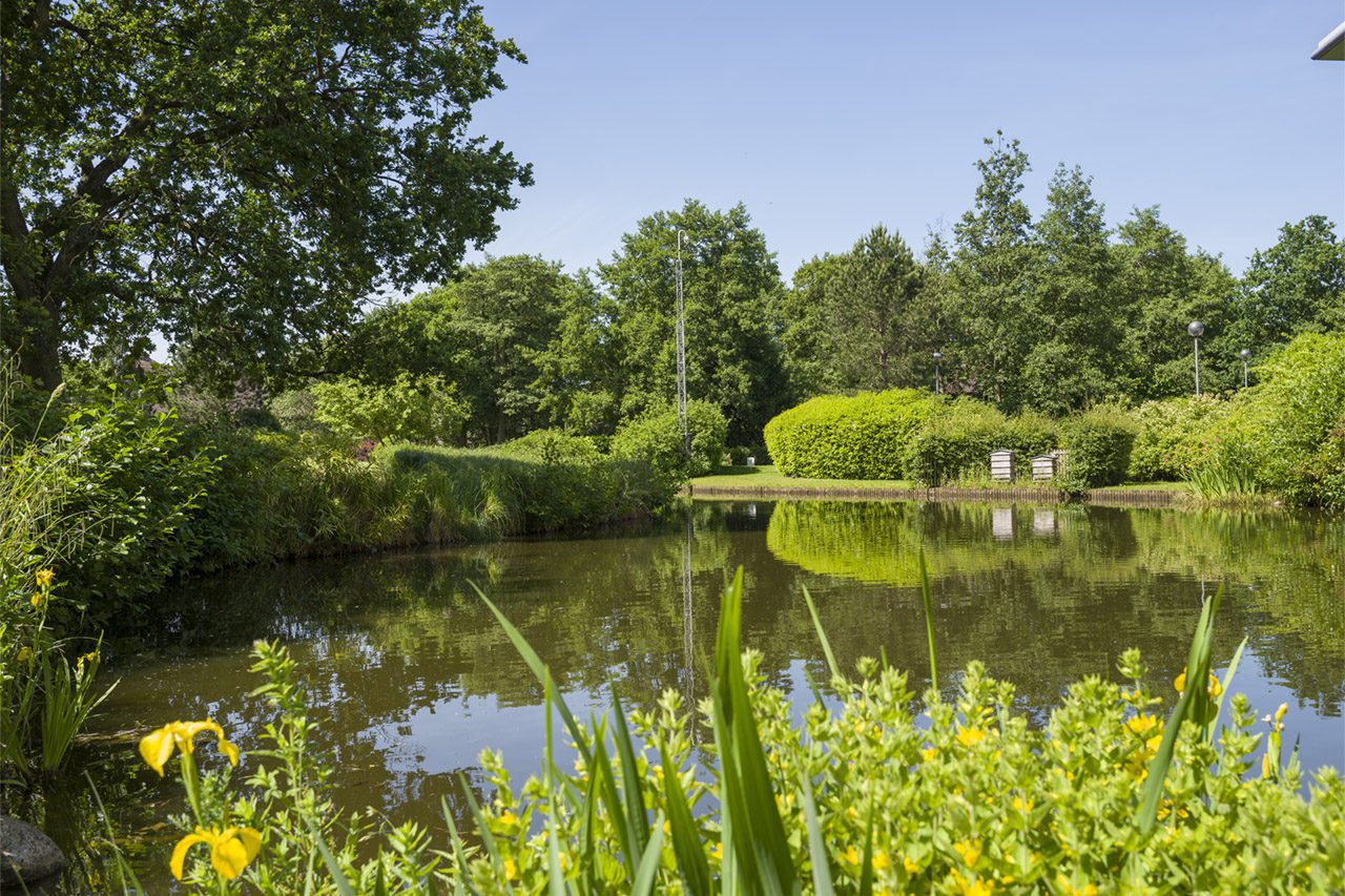 bee hives overlooking lake at Birmingham Business Park