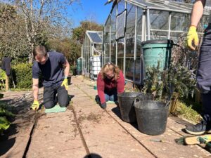 Biodiversity thrives in Birmingham