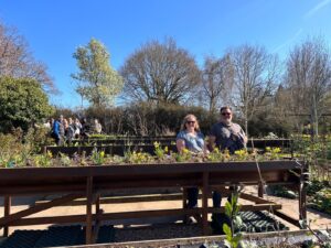 Biodiversity in Birmingham