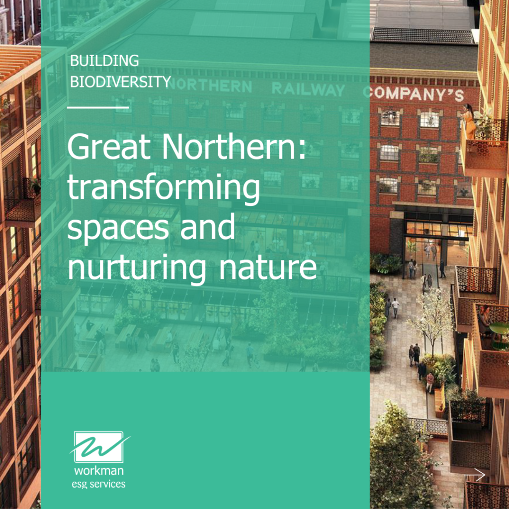 Great Northern - building biodiversity