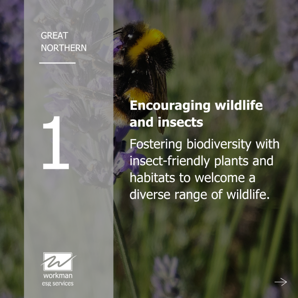 Great Northern - fostering biodiversity