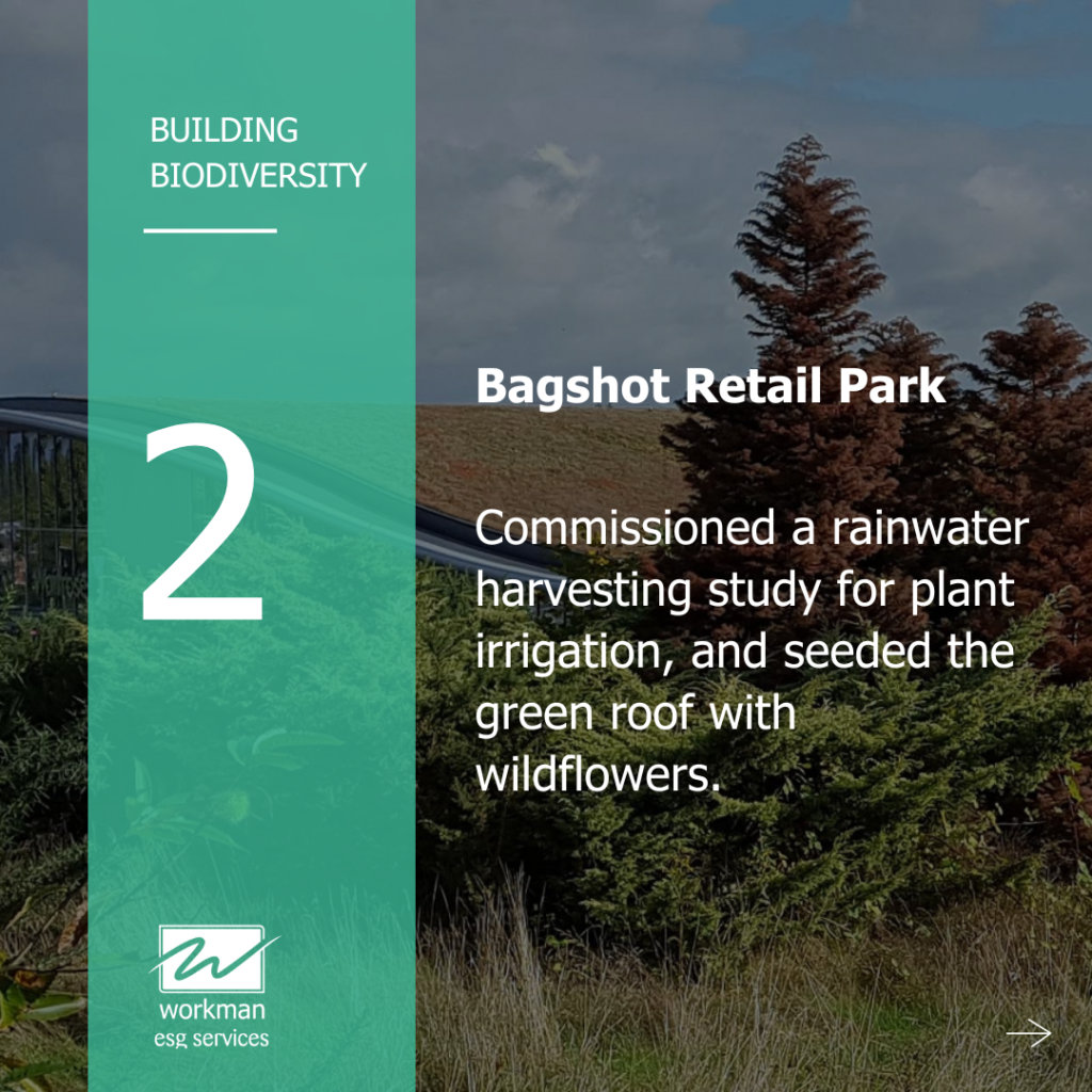 Bagshot Retail Park
