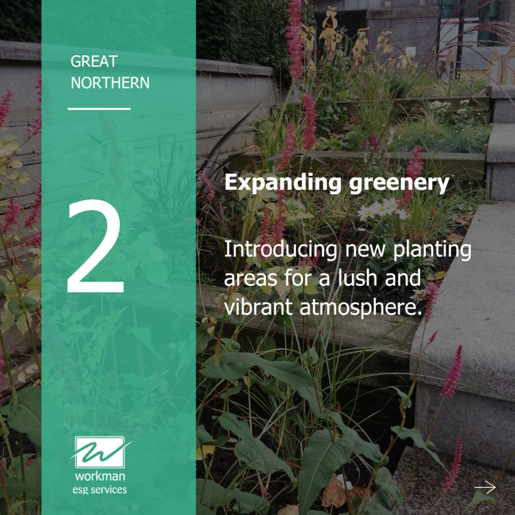 Great Northern - expanding greenery