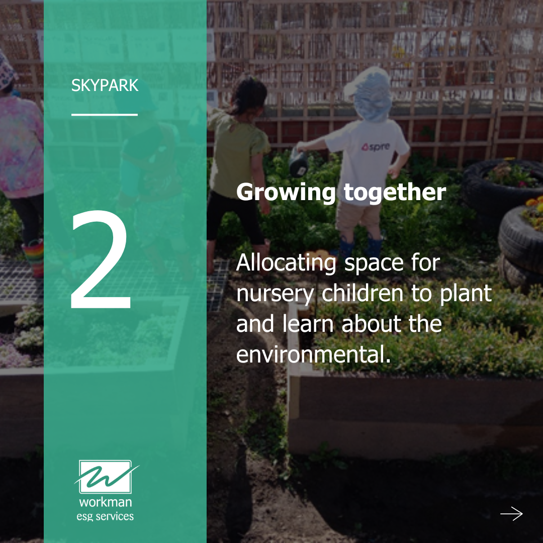 Skypark, Growing together
