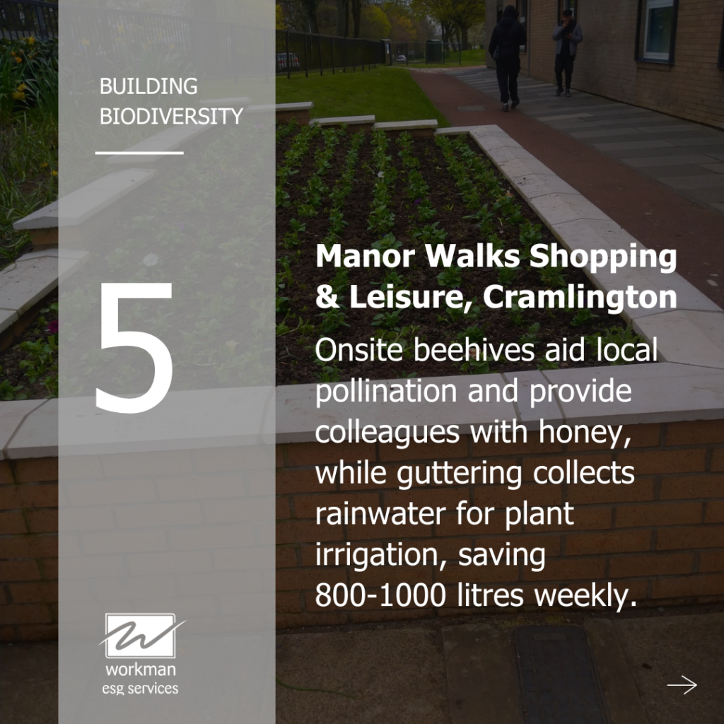 Manor Walks Shopping & Leisure, Cramlington