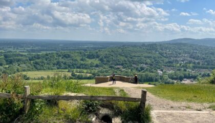 View from Box Hill